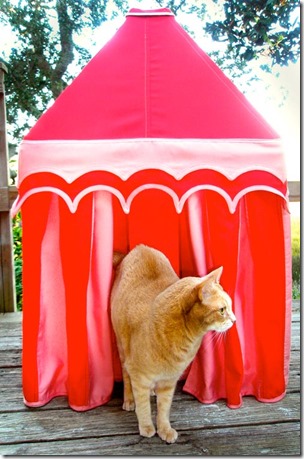 Custom Design Kitty Cat Cabana from Boutique Tents