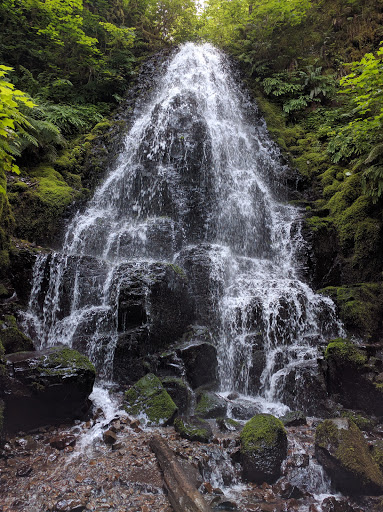 Tourist Attraction «Fairy Falls», reviews and photos, Wahkeena Trail #420, Corbett, OR 97019, USA