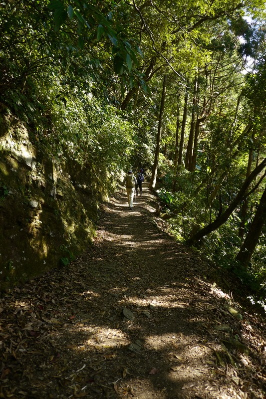 2013_1207 東滿步道→拉卡山→北插天山水源地_043