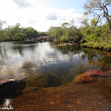 Caño Cristales - La  Macarena, Colômbia