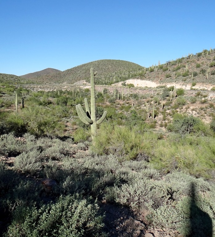 [Surprise-AZ-1st-hike-Wild-Burro-trai%255B16%255D.jpg]