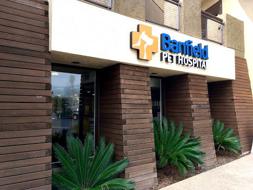 Veterinarian «Banfield Pet Hospital», reviews and photos