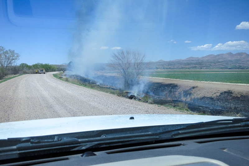 Bosque North Loop Controlled Burn IMG_7922