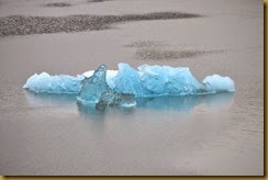 Tracy Arm Ice 1A