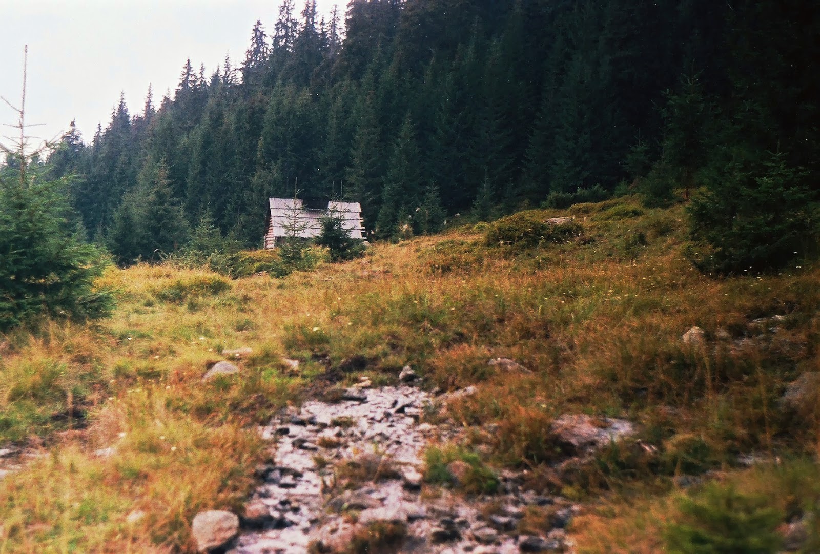 49.JPG 49.JPG