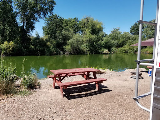 Campground «Clear Lake Campground», reviews and photos, 7805 Cache Creek Way, Clearlake, CA 95422, USA