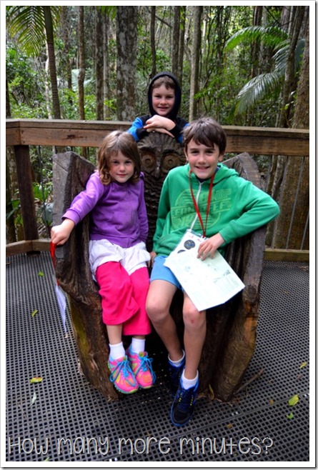 Sea Acres Rainforest Centre in Port Macquarie | How Many More Minutes?