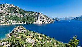 turunç koyu marmaris turunç paljı