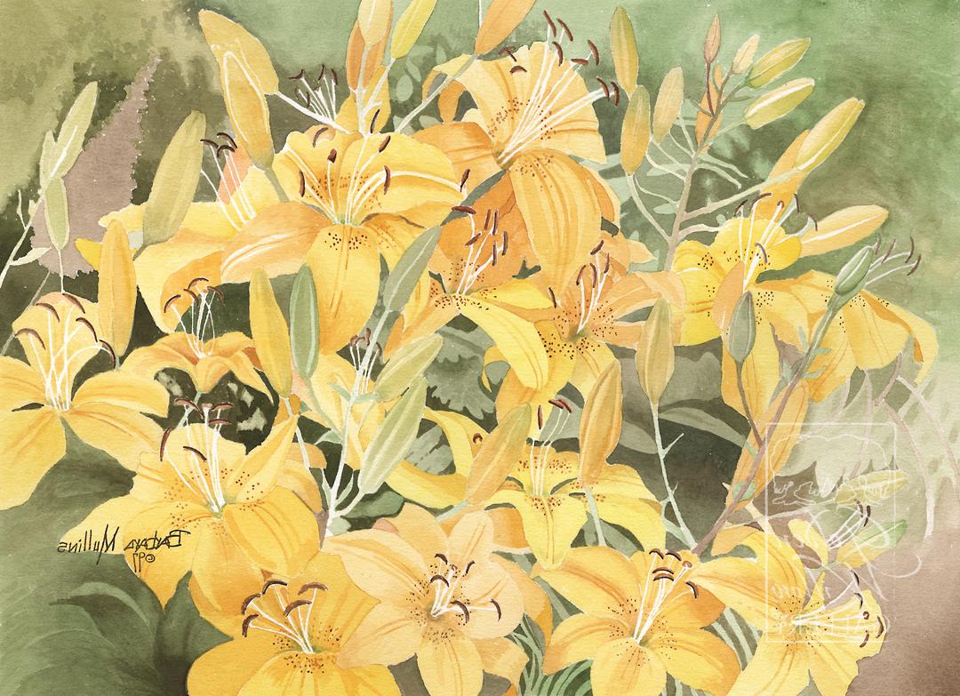 Yellow Lilies WG-66