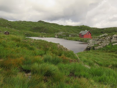 IMG_0471.JPG