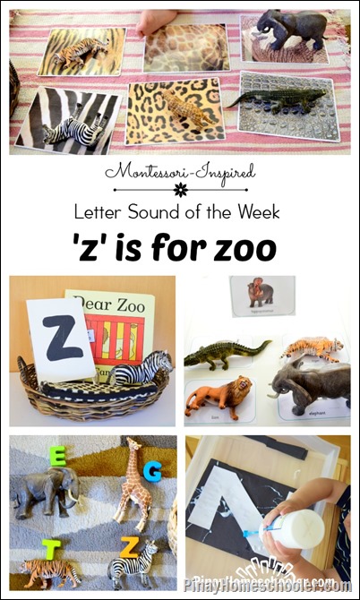 Z is for Zoo