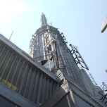 view from the empire state building in New York City, United States 