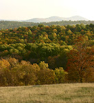 Partly up the hill, Sky Meadows State Park, Virginia.