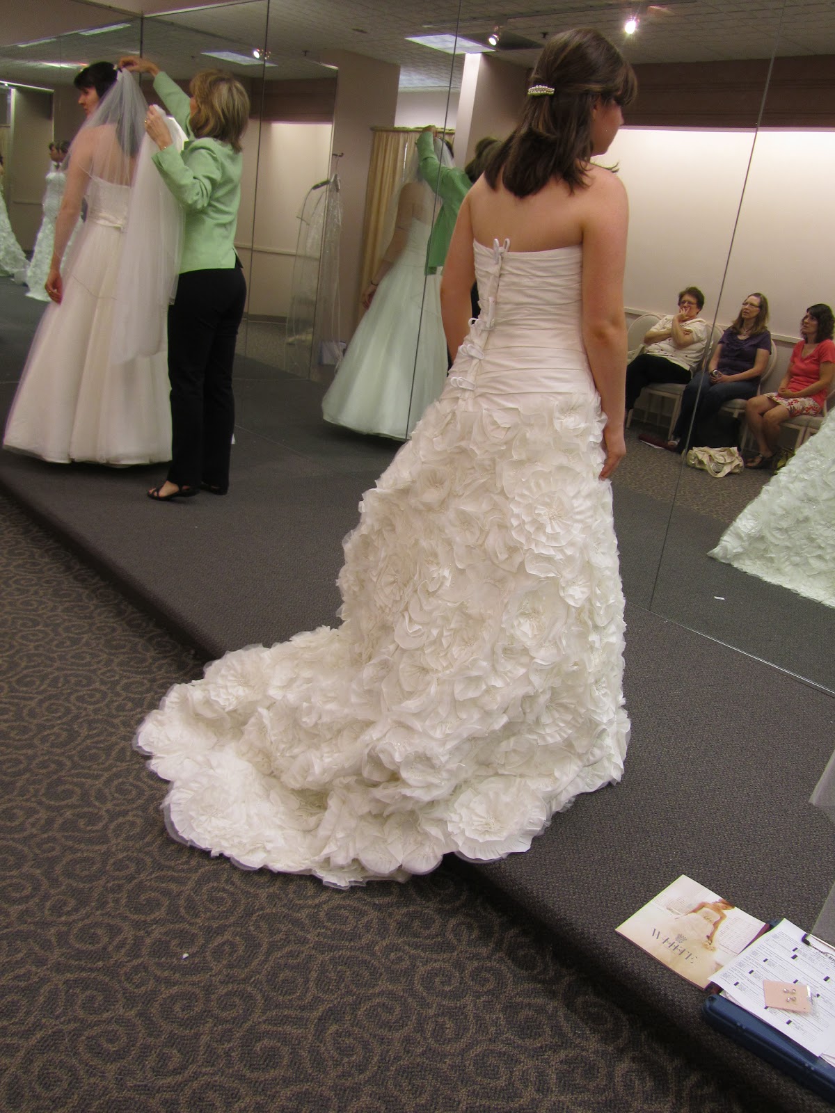 Saying No to the Dress : wedding chicago wedding dress Img 12005 IMG_12005