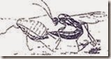 clip_image058 clip_image058