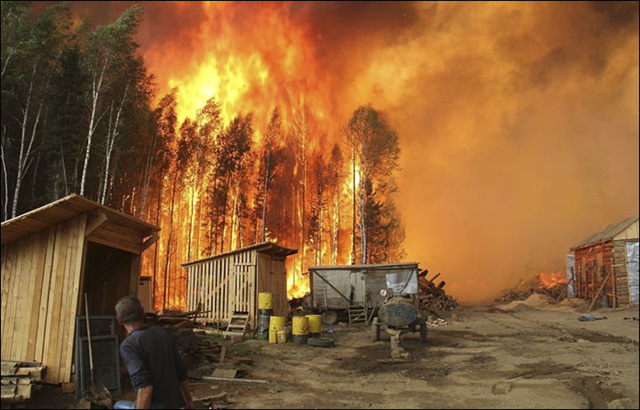 A wall of flame engulfs trees near Lake Baikal, Siberia, 2 September 2015. Photo: Vitaly Grekov