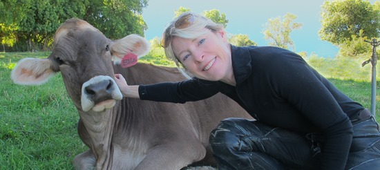 Rockhill Creamery Cow Friend