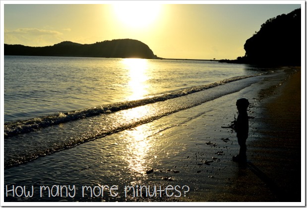 Sunrise With the Wallabies, Cape Hillsborough NP | How Many More Minutes?