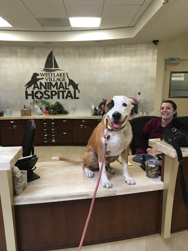 Animal Hospital «VCA Westlake Village Animal Hospital», reviews and photos