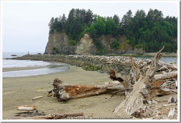 150706_LaPush Forks_0014