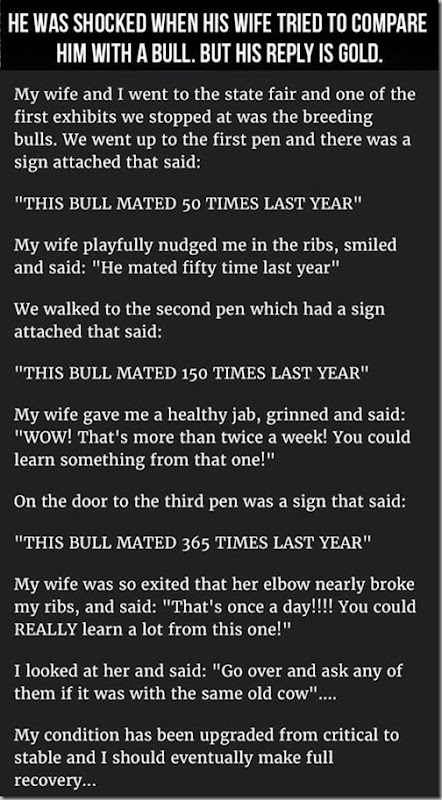 compared to bull
