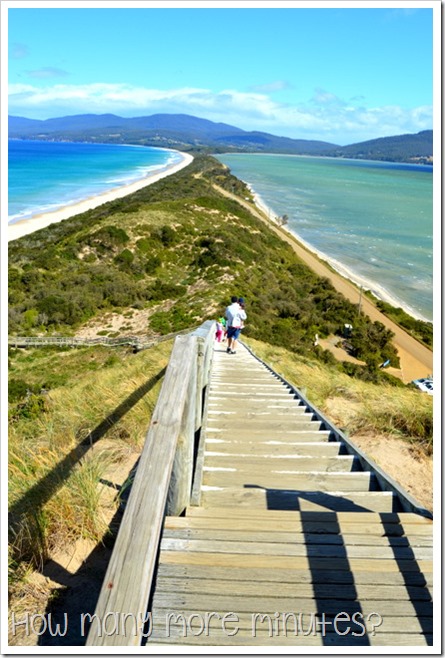 Bruny Island: The Neck~How Many More Minutes?