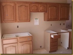 cabinets1