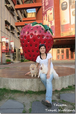 大湖草莓 (34)