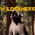 โหลดเกมส์ (PC) Wilderness เอาชีวิตให้รอดในป่าใหญ่
