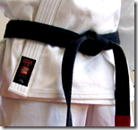 [black belt karate]