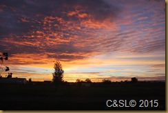 C&SL C&SL