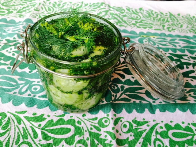 Traditional Finnish pickled dill cucumbers