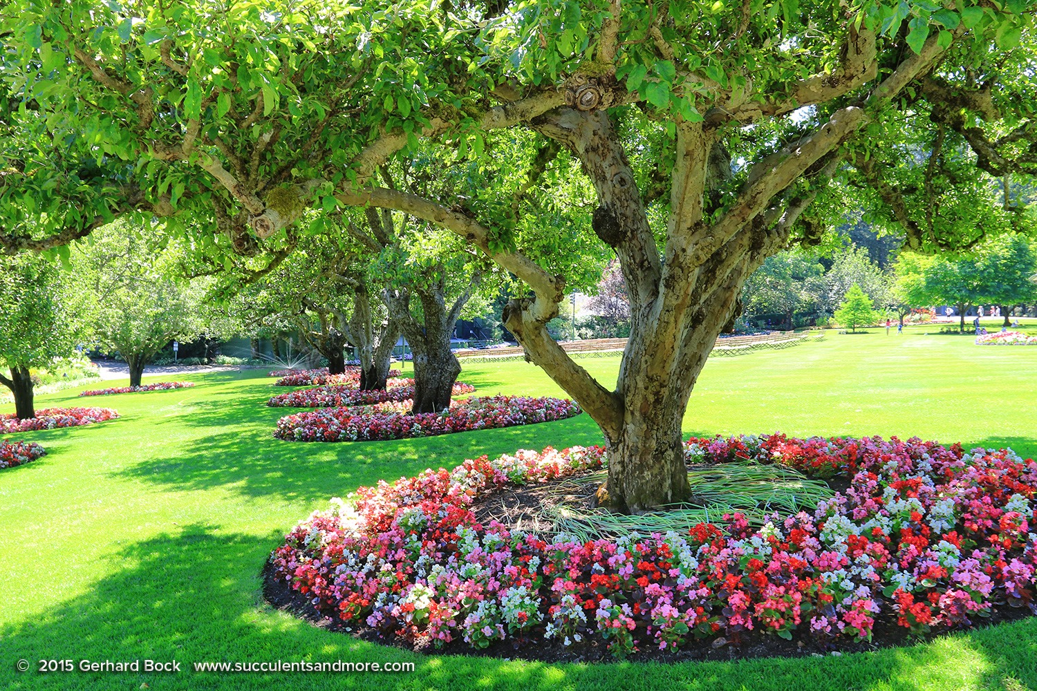 [150702_Victoria_ButchartGardens_0143%255B2%255D.jpg]