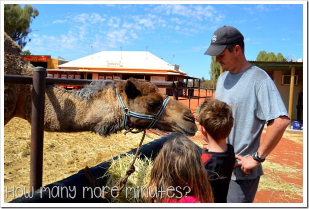 The Camel Farm at Yulara | How Many More Minutes?