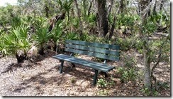 Bench along trail