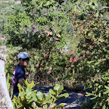 Caminhando pelas Barrancas de Cobre, México