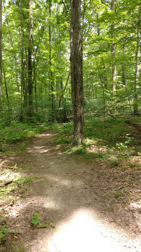 Nature Preserve «Scio Woods Preserve», reviews and photos, Scio Church Rd, Ann Arbor, MI 48103, USA