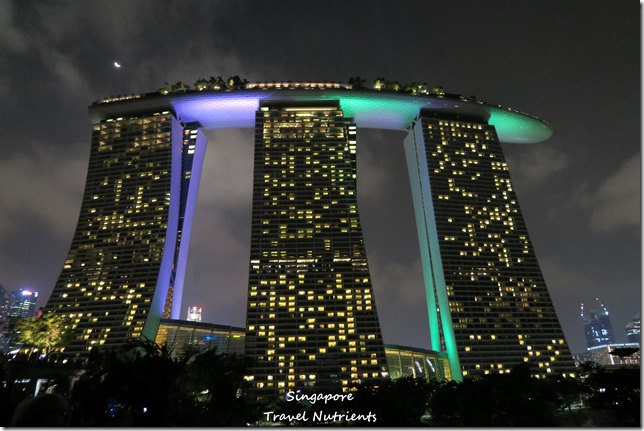 新加坡超級樹燈光秀 (39)