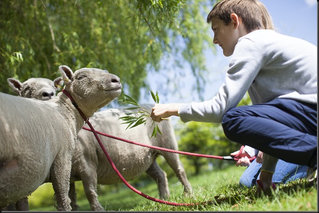 Seaview Wildlife Encounter 070615 05