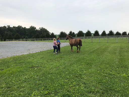 Veterinarian «Unionville Equine Associates PC», reviews and photos