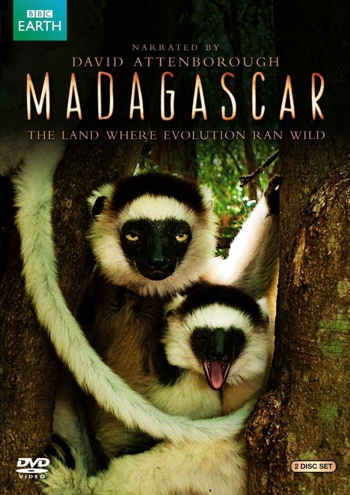 Madagascar (2011)