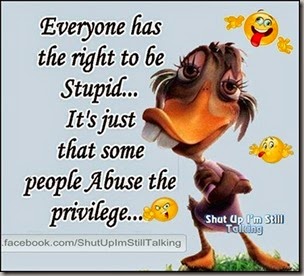everyone has the right to be stupid2