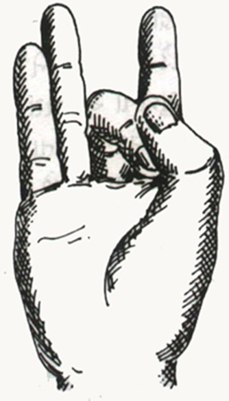 shunya mudra