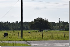 Pasture by trailhead