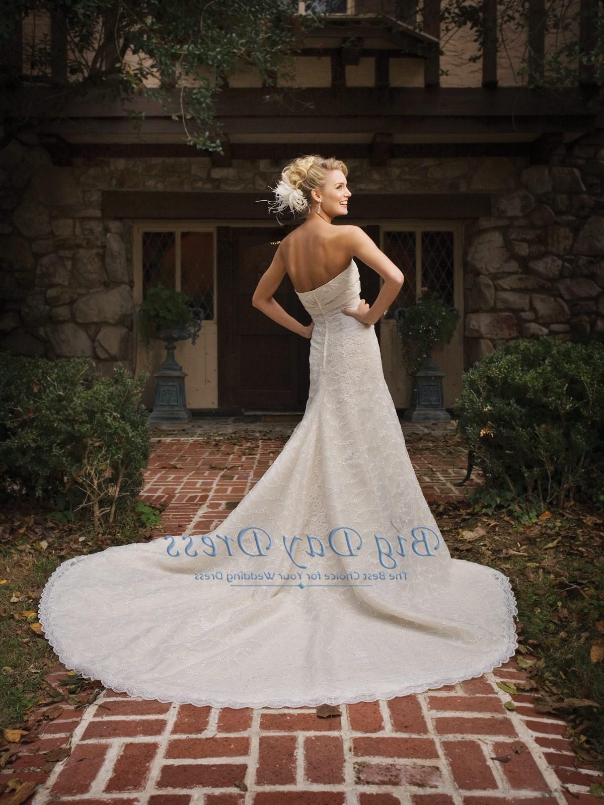 Taffeta Lace Wedding Dress