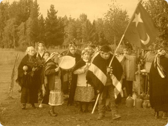 mapuches-bandera