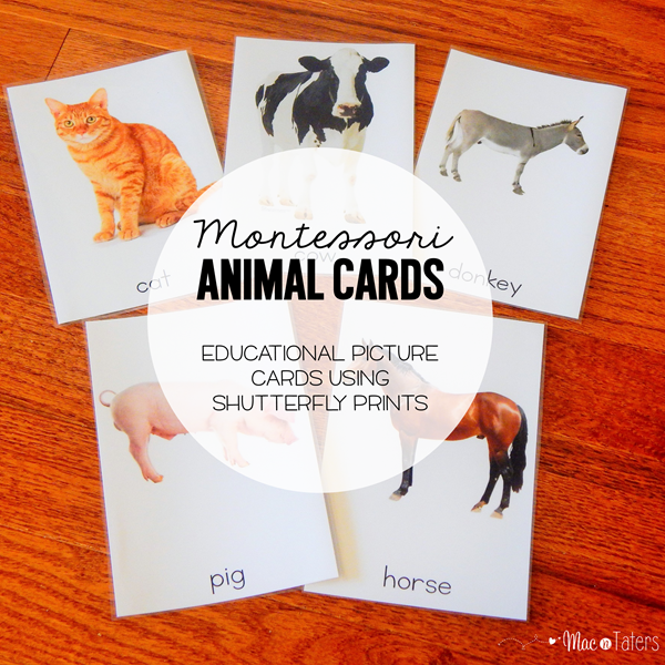 Montessori Animal Cards Shutterfly Prints