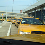 yellow cabs at JFK in New York City, New York, United States