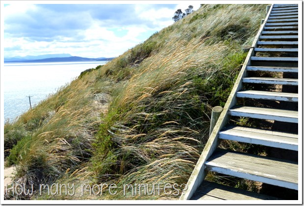 Bruny Island: The Neck~How Many More Minutes?