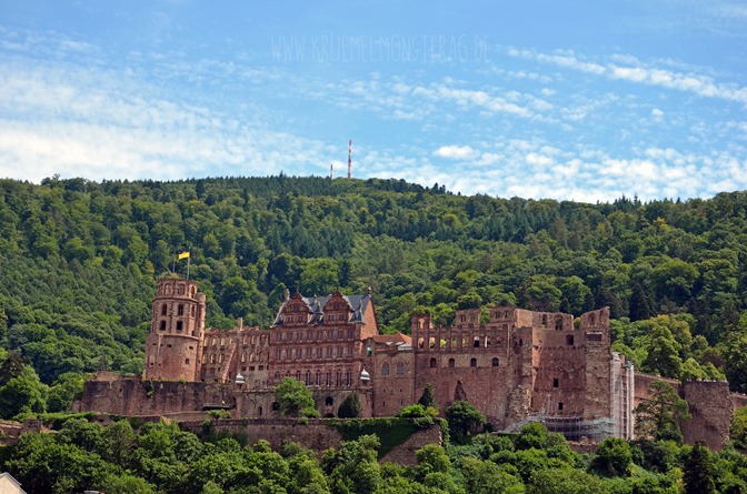 Geburtstagsausflug (22) nach Heidelberg